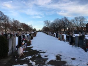 A large yet empty graveyard, reminiscent of the theme of death in Mount Eerie’s ‘A Crow Looked At Me’ and ‘Now Only’.